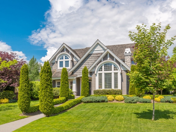 Property letting