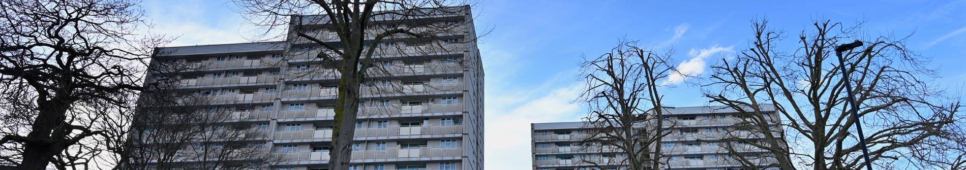 Enfield area guide - Image