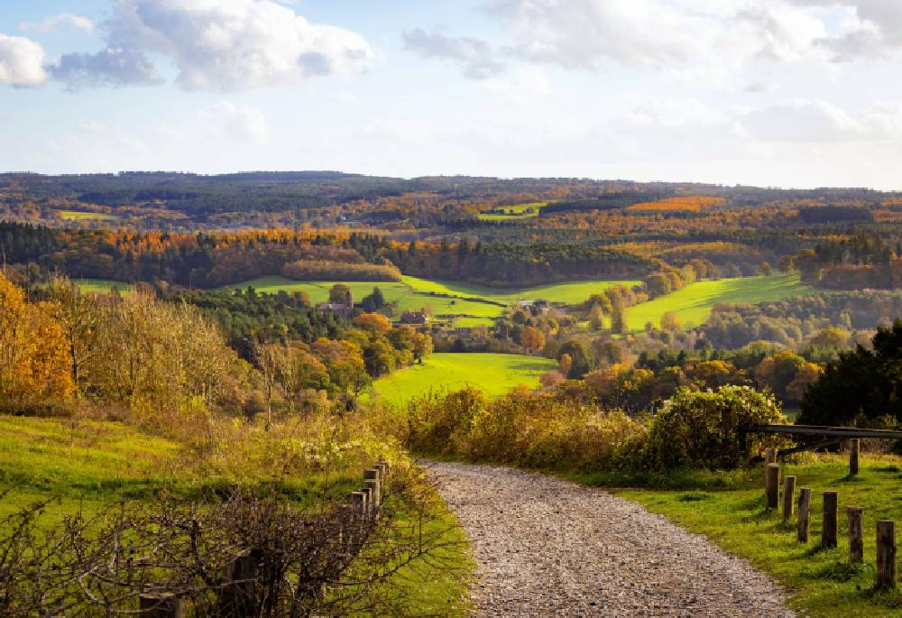 Guildford-area-guide-5