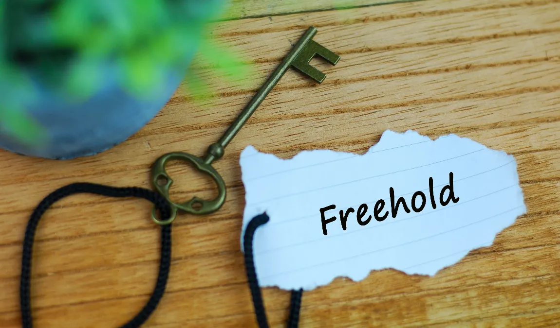 Freehold property